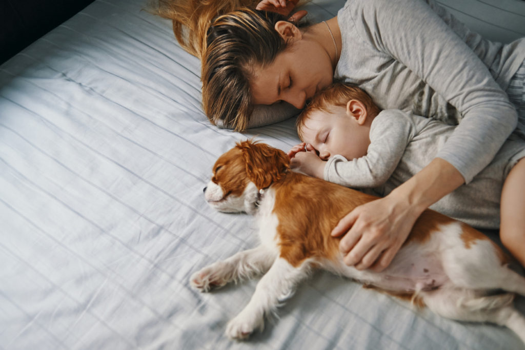 iStock 937289948 1024x683 1