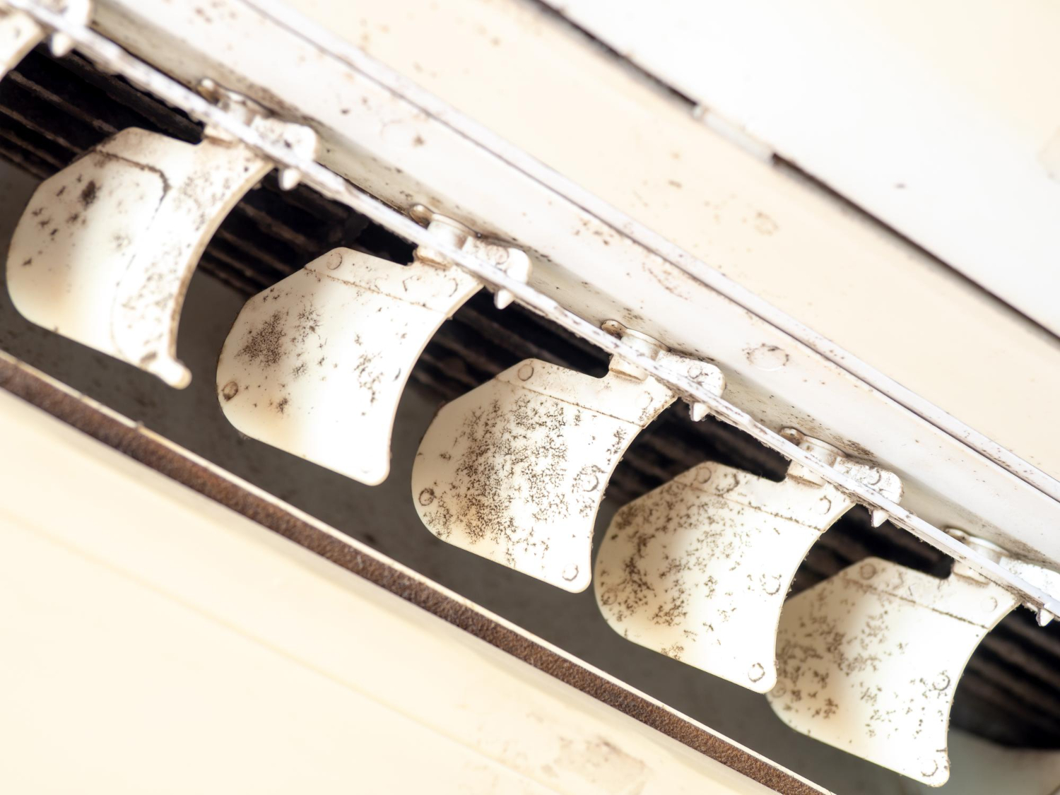 ac mold